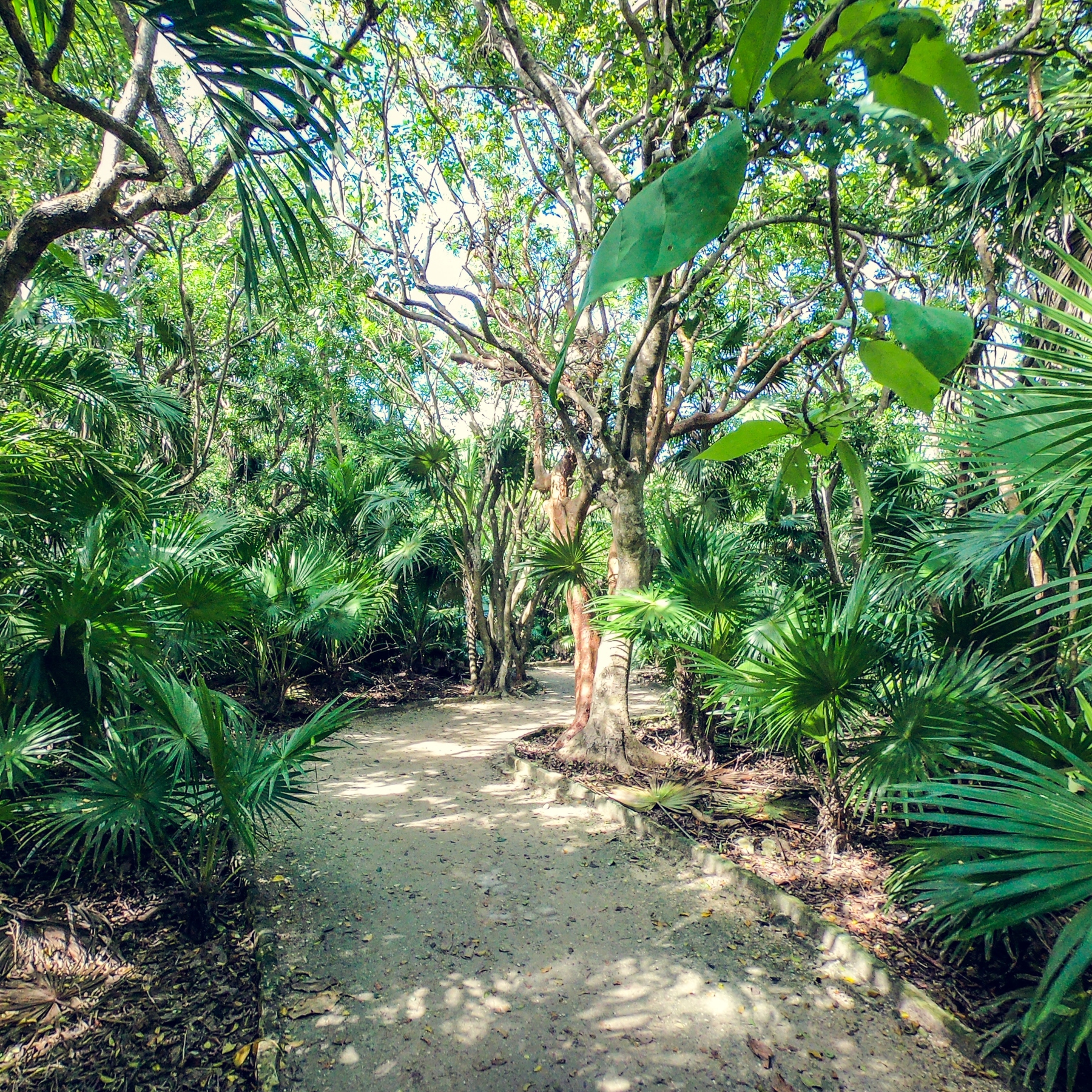 Tulum